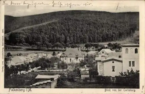 Ak Falkenberg in der Mark, Blick von der Carlsburg