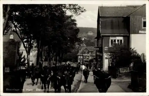 Ak Braunlage im Oberharz, Damenkapelle