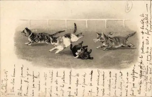 Präge Litho Katzen mit Schleifen auf der Rennbahn, Sturz