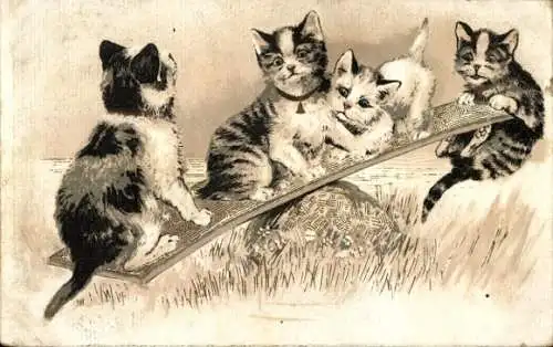 Litho Katzen beim Wippen, Hauskatzen