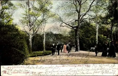 Ak Magdeburg an der Elbe, Promenade im Friedrich-Wilhelm-Garten