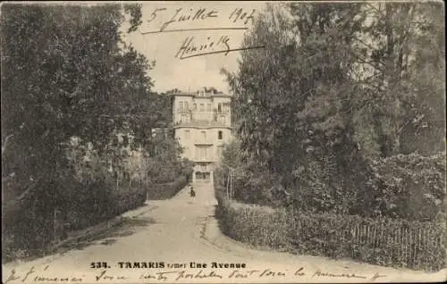 Ak Tamaris sur Mer Var, Une Avenue