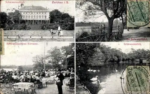 Ak Zwickau in Sachsen, Schwanenschloss, Terrasse, Besucher, Schwanenteich, Schwäne, Kinderwagen