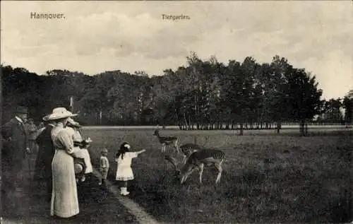 Ak Hannover in Niedersachsen, Tiergarten, Rehe, Feldpost