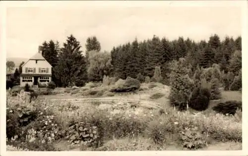 Ak Varenholz Kalletal in Lippe, Waldhaus Elfenborn