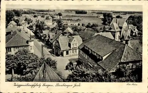 Ak Bergen in der Lüneburger Heide, Truppenübungsplatz