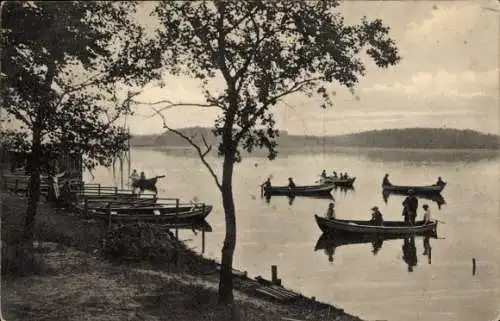 Ak Eberswalde in der Mark, Stadtsee, Ruderboote