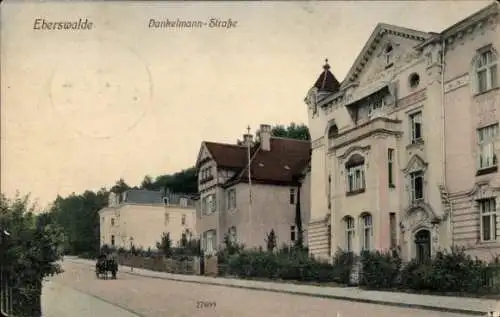 Ak Eberswalde im Kreis Barnim, Villen in der Dankelmannstraße