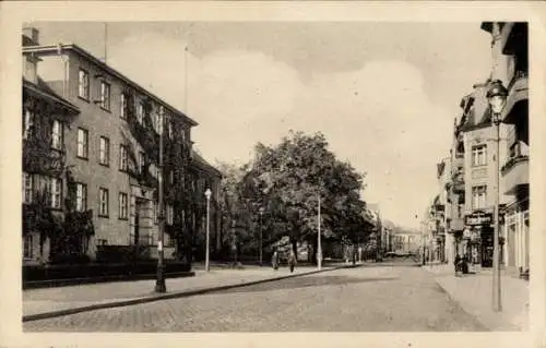 Ak Eberswalde im Kreis Barnim, Neue Kreuzstraße, Holzforschungsinstitut