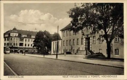 Ak Eberswalde im Kreis Barnim, Neue Kreuzstraße und fürstliche Hochschule