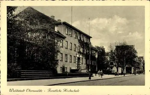 Ak Eberswalde in Brandenburg, Forstliche Hochschule, Straßenpartie