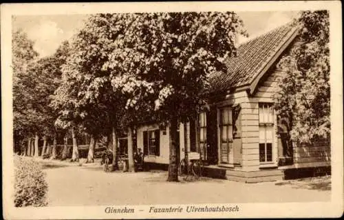 Ak Ginneken und Bavel Nordbrabant, Fazanterie Ulvenhoutsbosch