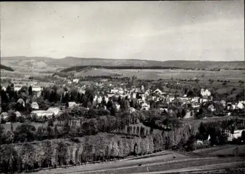 Ak Śląski Löwenberg Schlesien, Panorama