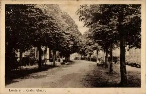 Ak Lunteren Ede Gelderland, Kastanjelaan