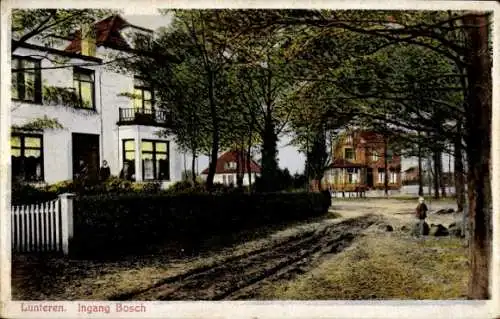 Ak Lunteren Ede Gelderland, Ingang Bosch