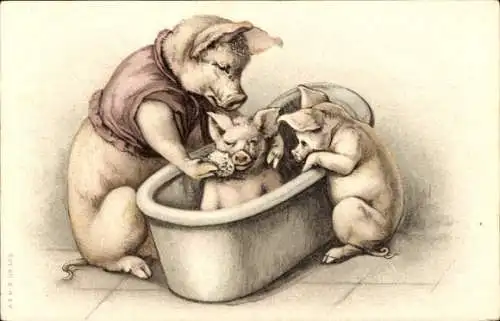 Ak Vermenschlichte Schweine, Badewanne