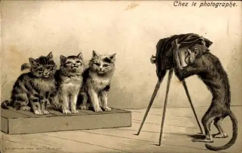 Präge Litho Schimpanse fotografiert Katzen, vermenschlichte Tiere, Fotoapparat