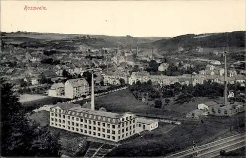 Ak Roßwein in Sachsen, Panorama, Fabriken