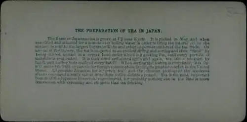 Stereo Foto Kyoto Japan, Teeplantage, Ernte