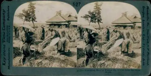 Stereo Foto Japan, Bauern dreschen Reis