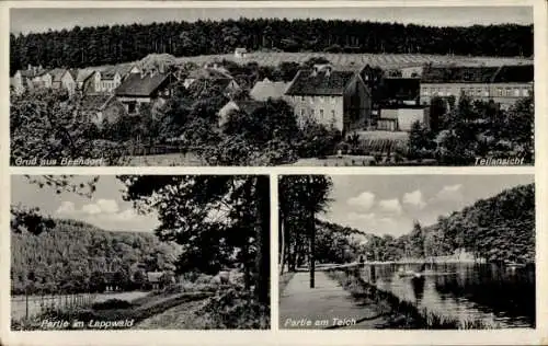 Ak Bad Helmstedt, Teich, Lappwald, Clara Bad, Beendorf