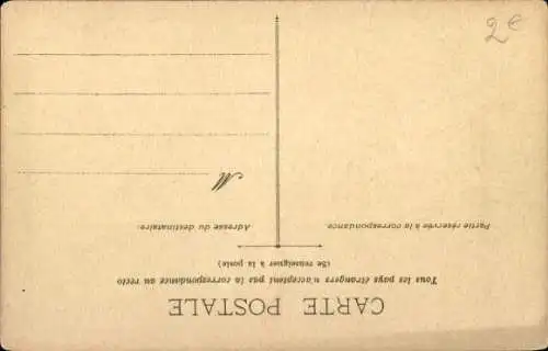 Ak Frau fährt eine Kutsche, Weißes Pferd