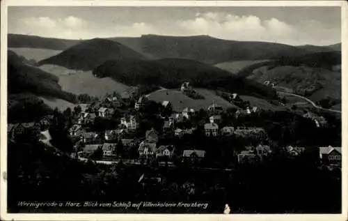 Ak Wernigerode im Harz, Villenkolonie Kreuzberg