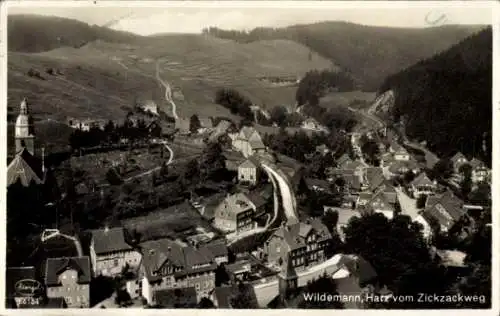 Ak Wildemann Clausthal Zellerfeld im Oberharz, Gesamtansicht, Zickzackweg