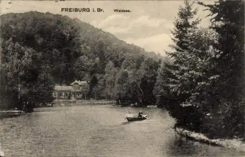 Ak Waldsee Freiburg im Breisgau, Gesamtansicht