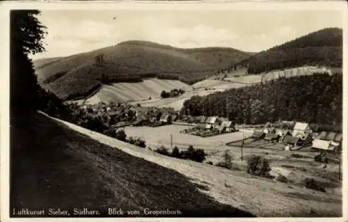 Ak Sieber Herzberg am Harz, Gesamtansicht, Gropenborn