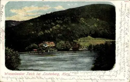 Ak Bad Lauterberg im Harz, Wiesenbeeker Teich