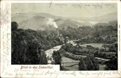 Ak Osterode am Harz, Panorama, Schornstein