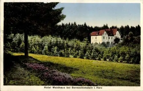 Ak Benneckenstein Oberharz, Hotel Waldhaus