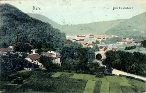 Ak Bad Lauterberg im Harz, Gesamtansicht