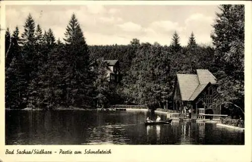 Ak Bad Sachsa in Niedersachsen, Schmelzteich