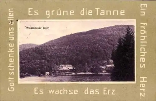 Ak Wiesenbek Bad Lauterberg im Harz, Wiesenbeker Teich