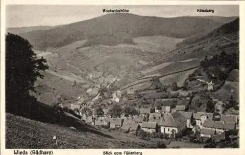 Ak Wieda Harz, Blick vom Füllenberg auf den Ort, Käseberg, Kuckuckshöhe