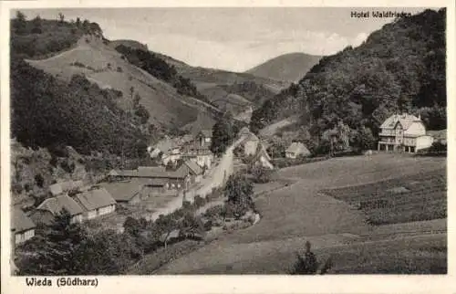 Ak Wieda Walkenried Harz, Hotel Waldfrieden