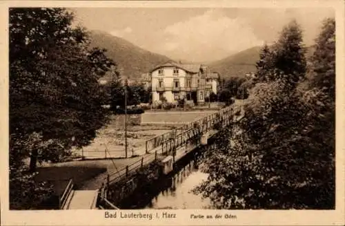 Ak Bad Lauterberg im Harz, Brücke, Oder