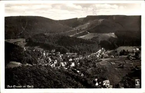 Ak Bad Grund im Harz, Panorama