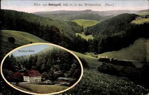 Ak Hohegeiß Braunlage im Oberharz, Blick in das Wolfsbachtal, Wolfsbachmühle