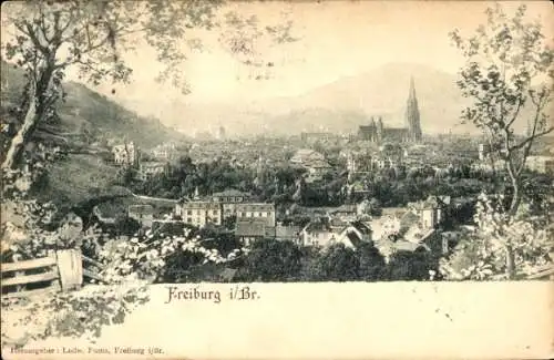 Ak Freiburg im Breisgau, Panorama