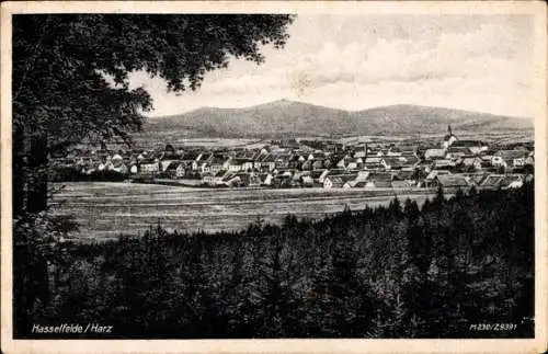 Ak Hasselfelde Oberharz am Brocken, Gesamtansicht