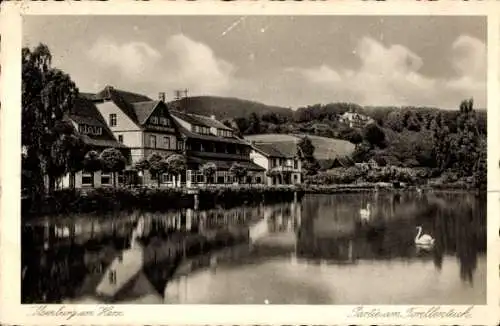 Ak Ilsenburg im Harz, Forellenteich