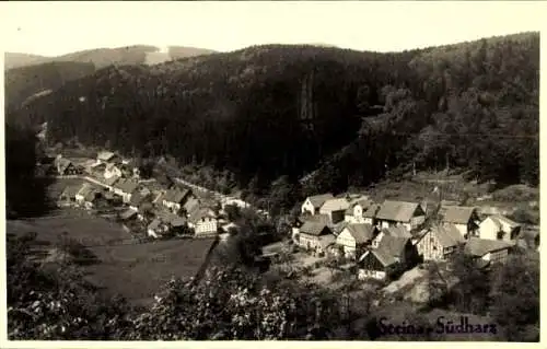 Ak Steina Bad Sachsa im Harz, Gesamtansicht