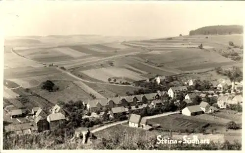 Ak Steina Bad Sachsa im Harz, Gesamtansicht