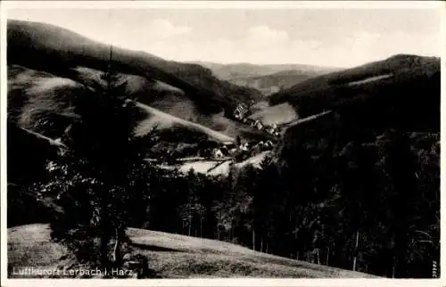 Ak Lerbach Osterode am Harz, Landschaftsblick, Ort