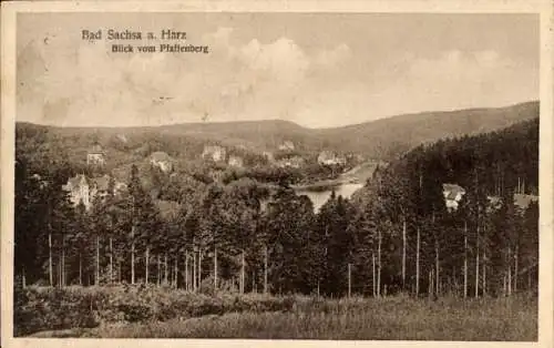 Ak Bad Sachsa im Harz, Blick vom Pfaffenberg