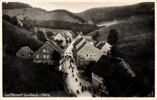 Ak Lerbach Osterode am Harz, Gesamtansicht