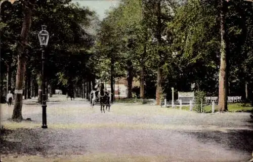 Ak Bussum Nordholland Niederlande, Allee, Kutsche